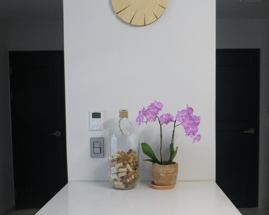 Started a collection of wine bottle corks Started a collection of wine bottle corks